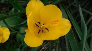 01=04=2025 ник (114) ЦЦЦ