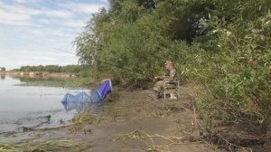 В проводку с "болонкой"! Ее преимущества!