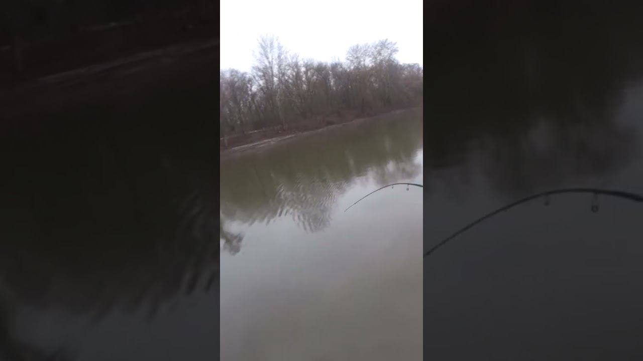 Сложное вываживание #рыбалка #джиг #shorts смотреть онлайн