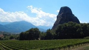 Виноградники под скалами!
