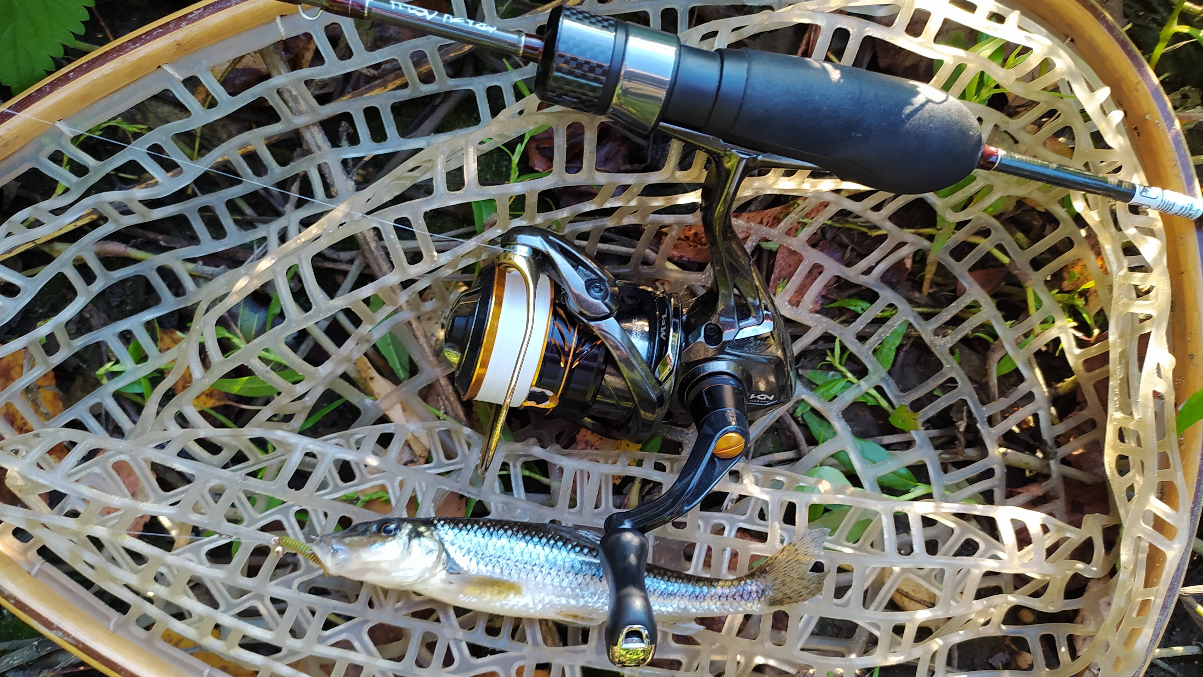 Десна. Мормышинг, вечером 10 сентября 2025 года