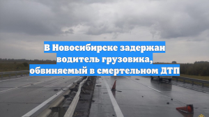 В Новосибирске задержан водитель грузовика, обвиняемый в смертельном ДТП