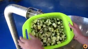 Поршневой насос BP серии Модель BP8 Перекачка кубиков цукинни