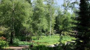 Артём Гельман - Парк