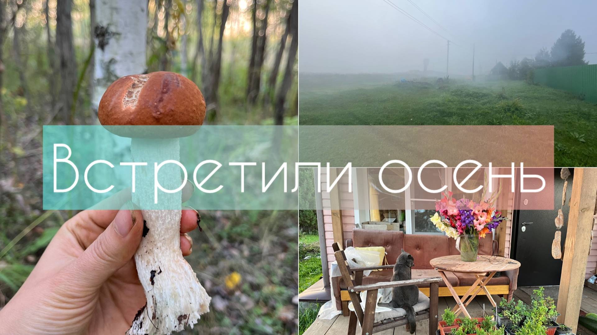 Встретили осень