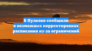 В Пулково сообщили о возможных корректировках расписания из-за ограничений