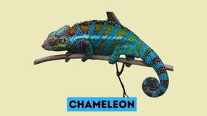 Creepy Crawly Creatures An English Guide to the Weirdest Wildlife