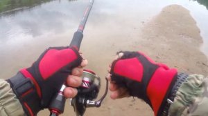 Aspius на раттлин.