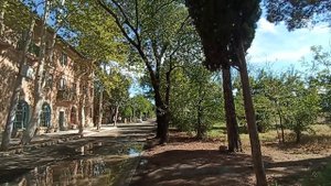 Прогулка по Рустави 12.09.2025 (улица Гиорги Анцухелидзе (бывшая улица Чапаева в Интернатах))