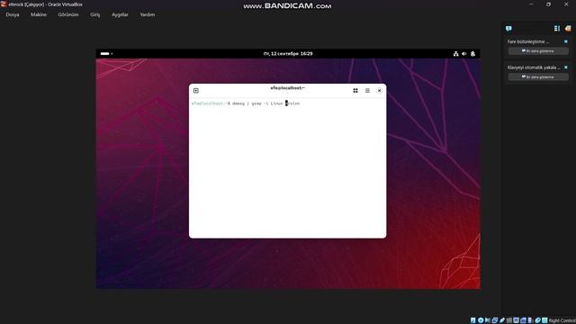 Лабораторная работа 1