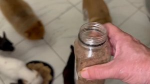 Выпендрежники кушать пошли, сегодня обед присыпали рубцом.