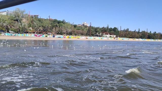 1000014323.mp4 смотреть онлайн