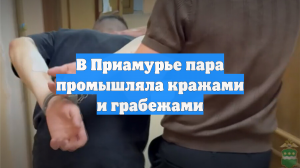 В Приамурье пара промышляла кражами и грабежами