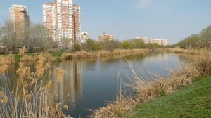 ПРИРОДА 15 МБ.