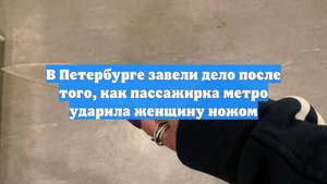 В Петербурге завели дело после того, как пассажирка метро ударила женщину ножом