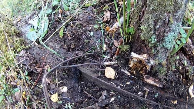 Металлокоп. Нашёл рельсы 1892 года смотреть онлайн