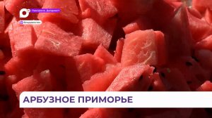 В Приморье этим летом собрали свыше двух тысяч тонн арбузов