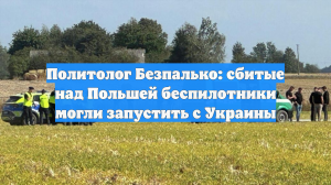Политолог Безпалько: сбитые над Польшей беспилотники могли запустить с Украины