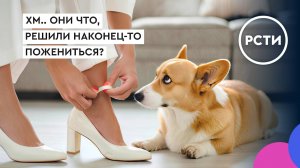 Эпизод 25. Свадьба