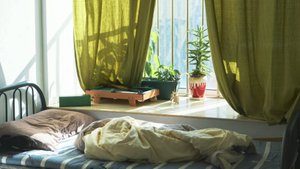 День заглядывания в окна. Такое утро