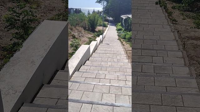 1000014316.mp4 смотреть онлайн