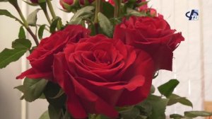 Друзья, коллеги и ученики поздравили с юбилеем директора школы № 10 Галину Александровну Тарунову