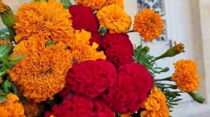 Я принесла наши цветы в Елеонский монастырь на праздник Усекновение Главы Иоанна Крестителя