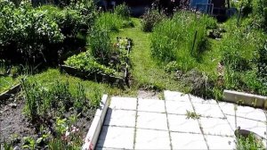 25-2017 Что нового и какие планы_ _ Elena Pero