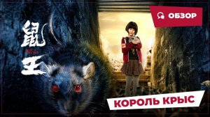 Король крыс (Evil of the Rat, 2025) || Обзор || Китайское кино