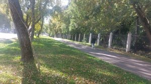 Москва осень красивая пора