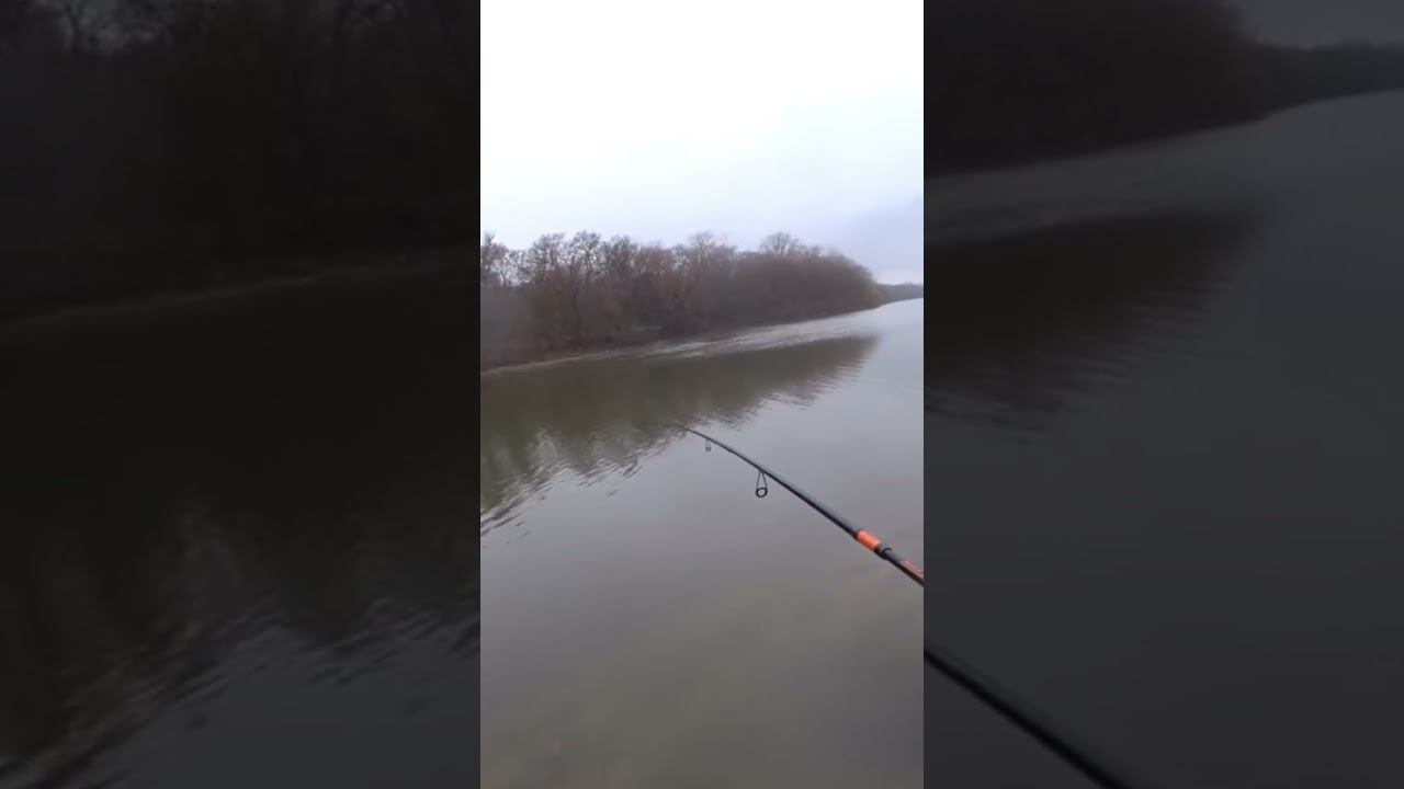 Щука с первого заброса #рыбалка #fishing #спиннинг #shorts смотреть онлайн
