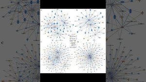 Как Небиволол может защитить мозг от Альцгеймера: Небиволол и новые стратегии профилактики
