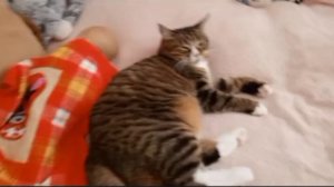 VLOG /С РЕБОРНОМ ЛАНИАКЕЕЙ СДЕЛАЛА ЕЙ РОСПИСЬ?! ☺️