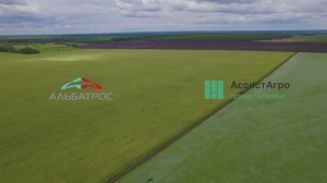 Умная агрономия для контроля полей и роста рентабельности. Модуль АссистАгро