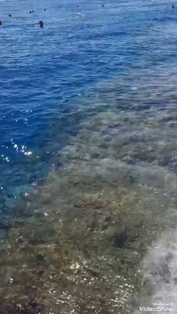 Club Reef Resort пляж 2024 смотреть онлайн