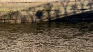 «Современное искусство»