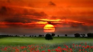 Красивое чтение Корана