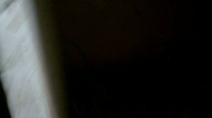 Обзор яичного урожая пока куры завтракают.