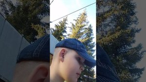 урок на свежем воздухе