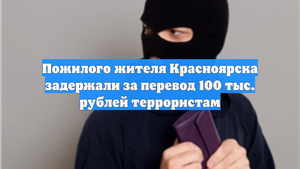 Пожилого жителя Красноярска задержали за перевод 100 тыс. рублей террористам