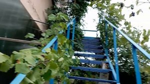 Помощь Саду Универсолиса и Обители путника для участников Форумов и путешествующих по святым местам