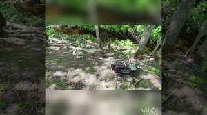 Первая катка по лесу, по трассе