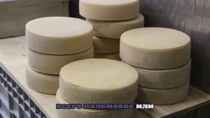 Технолог Дьячкова объяснила, как можно дома определить, натуральный ли сыр