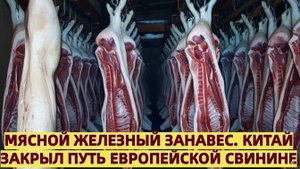 Мясной железный занавес. Китай закрыл путь европейской свинине
