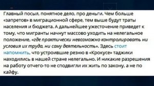 Авторов мигрантского наката должна ожидать проверка на иноагенство, причём автоматически