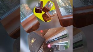 1000034373.mp4 (Собака наблюдает за устройством откосов у оконных проёмов в м/комнате дома А-фрейм)