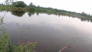 Сом на раттлин Asp Hunter, тестовый золото.