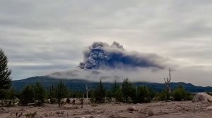 🌋 Вулкан Шивелуч активизировался на Камчатке