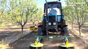 Ореховые сады Крыма не уступают европейскому уровню качества