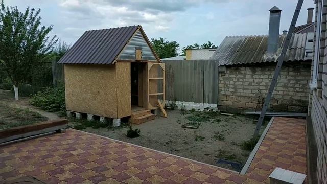 Бакинские голуби молодежь: Начинаю приучать голубят ко двору! смотреть онлайн